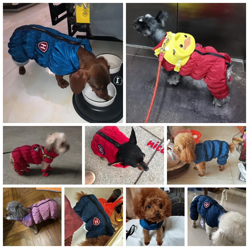 Cremallera nieve Unisex perro  - Winter Clothing Baby reseña y precio